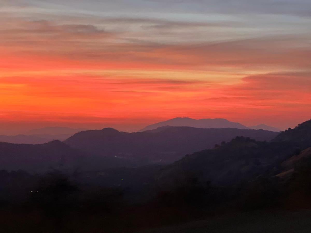 The Sequoia Guesthouse Miramonte Luaran gambar